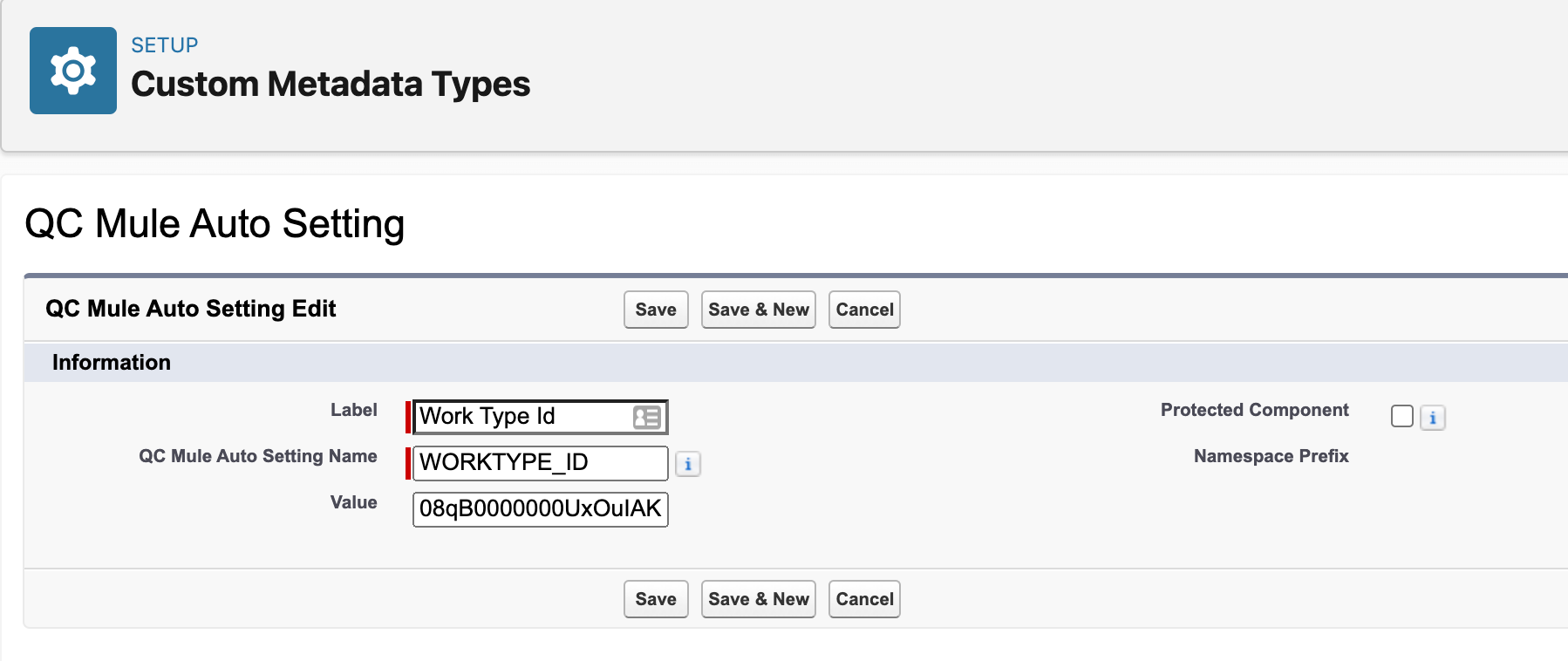 resources/auto-predictive-maintenance_Setup%20Guide_Custom_Metadata_Work_Type-db8cb474-680e-4eeb-bee4-a579e1675dc3.png