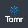 Tamr Versioned API icon