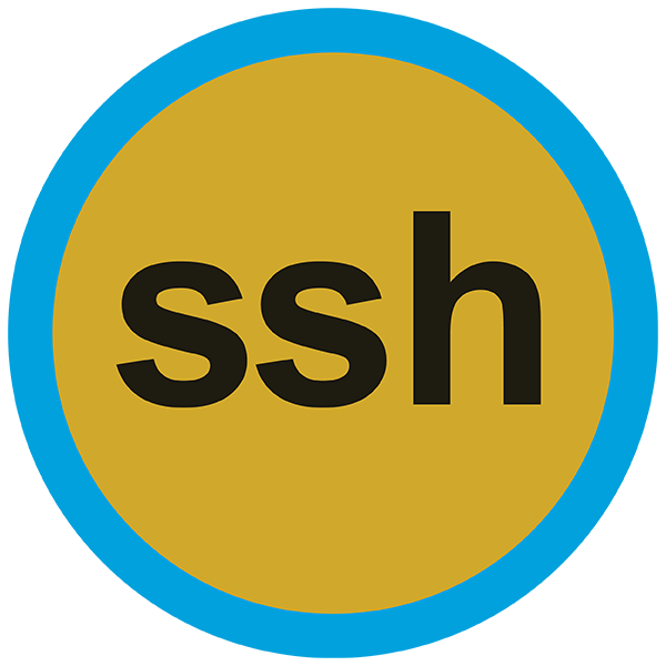 SSH Connector - Mule 3 icon